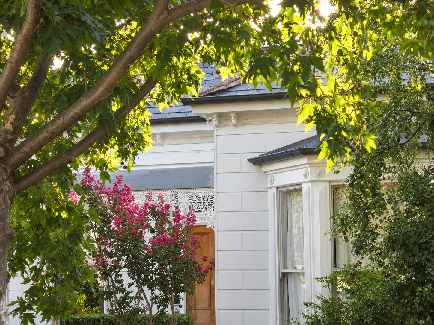 The original front of the house, white weatherboard and cast iron lacework under a crepe myrtle